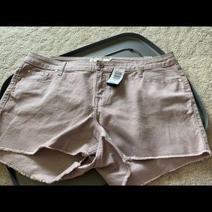 Torrid Lilac Short Short NWT